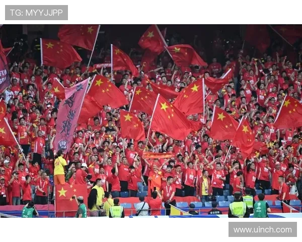 杭州排球队意识争议引发热议球迷与专家各执己见的背后故事