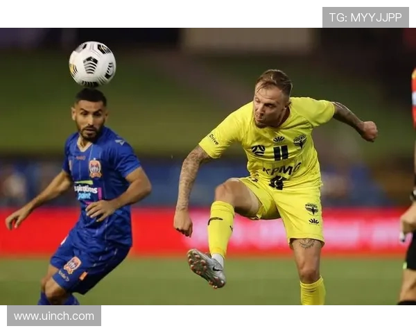 惠灵顿与纽喷射机的精彩对决分析与赛季展望 惠灵顿与纽喷射机的精彩对决分析与赛季展望